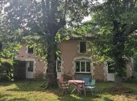 Maison en pleine forêt landaise
