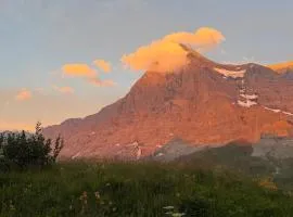 Stöcki-Grindelwaldblick