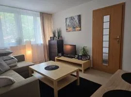 Mieszkanie w centrum miasta