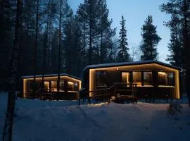 Yllas Cabin for Work, Ski and Relax