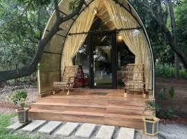 Farm stay