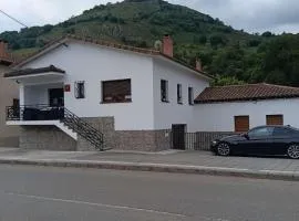 Apartamentos Alma