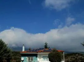 Eden House