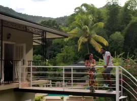 Bamboo View