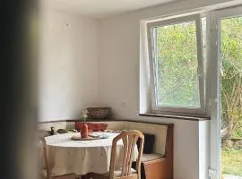 Apartment Volk Turjaški