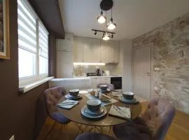 Tesla Apartment - Stay Like a Local