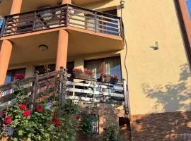 Casa Ioana