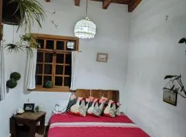 Habitación Helechos azules