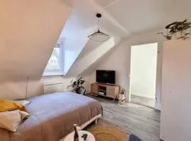 SOH Rent Strasbourg Saint Florent