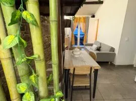 El renacer de Flor - Casa turística