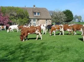 Holiday apartment in Gelderswoude with Wi-Fi