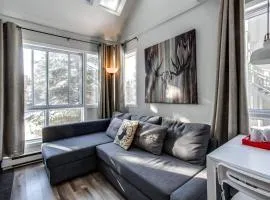 Modern Chalet in the Mont Tremblant Ski Village
