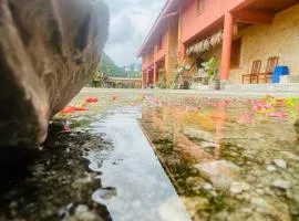 Mùa Pửi Lô lô homestay