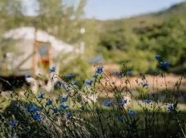 Modern Solar Powered Yurt Fully Equipped in Basalt, Colorado