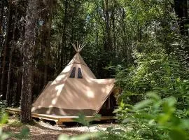 Enchanting Nordic Tipi for a Montana Glamping Getaway