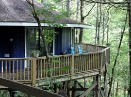 Rustic Tree Top Cabin in Sky Valley, Georgia
