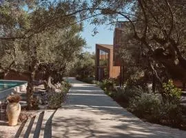 Prosilio olive tree houses