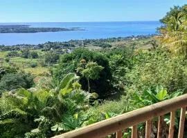 Villa Frangipanier - Ile aux cerfs