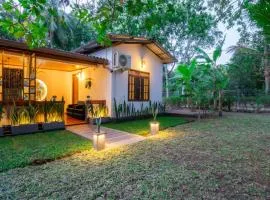 Sansevieria Homestay