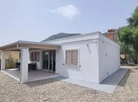 Sa Omu de S'Olia