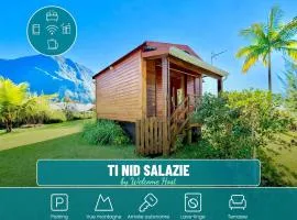 Ti Nid Salazie, Bungalow créole et vue montagne