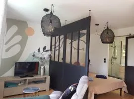 Appart Studio jardin Concarneau