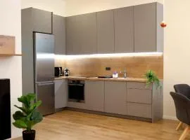 Apartman Deluxe Astrova C