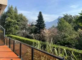 A Jump Into Lugano's Center