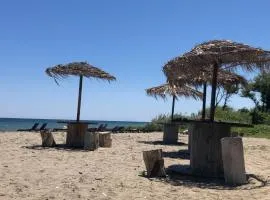Studio cosy en bord de mer avec piscine