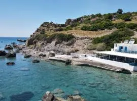 Agia Fotia Taverna