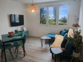 Le Temps d'un Séjour Clermont-Ferrand F3 2 chambres 1 chambre avec 1 lit simple et 1 chambre avec 2 lits doubles et 1 Garage