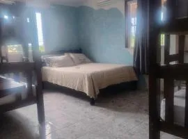 hostel xamã