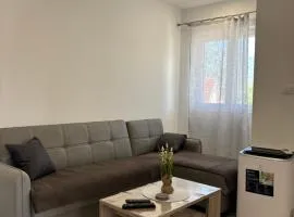 Lily Bloom Apartments