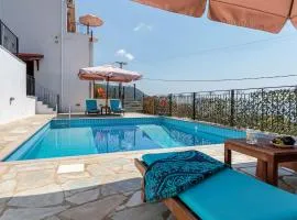 Villa DISI with private pool at the best price