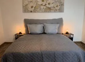 Apartmán Pardubice 4