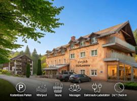 Hotel Ladenmühle, hotel Kurort Altenbergben