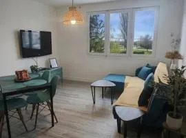 Le Temps d'un Séjour Clermont-Ferrand F3 2 chambres 1 chambre avec 1 lit simple et 1 chambre avec 2 lits doubles et 1 Garage