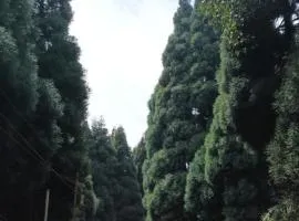 Wang Homestay