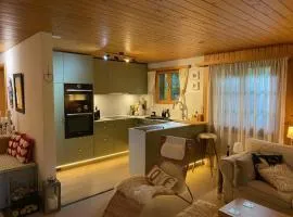 Apartment Halten Appartement-Fewo- Dusche oder Bad- WC 4-Bettwohnung by Interhome