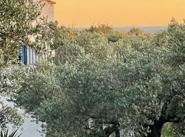 Can Mimosa Guesthouse
