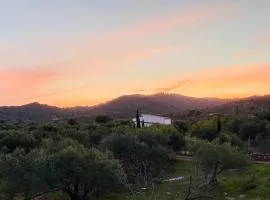 Can Mimosa Guesthouse