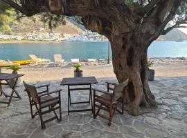 Armiriki Seaside
