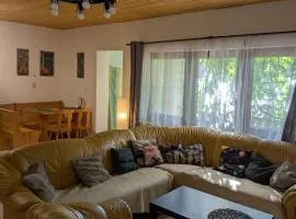Big family apartment close to the ring