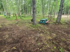 Houston Grass Station Campsite #40