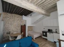 Trévoux centre appartement climatisé
