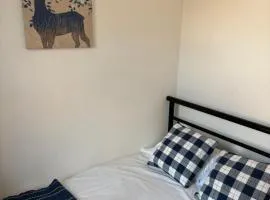 Bensham Ave - Spacious 4 bdrm Close to Newcastle
