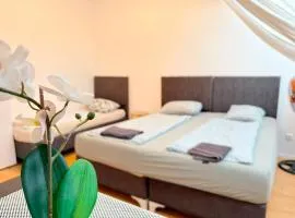 Family & Group Apartment I 10 PAX MZ49