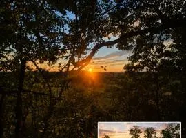 Tinyhouse mit Alpakas Ruhe &Natur-Waldminze Südburgenland Frühstück zubuchbar