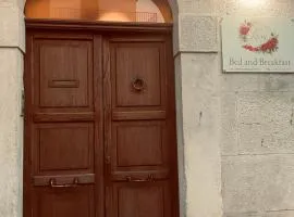 B&B Rosy