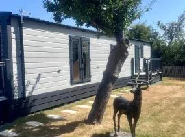 Brand new Family lodge sleeps 6